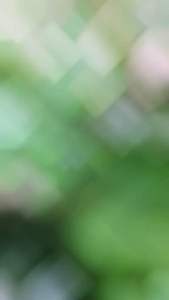 BAJU BATIK SERAGAM PKK TERBARU HIJAU TOSCA Full Lapis Dalam Furing