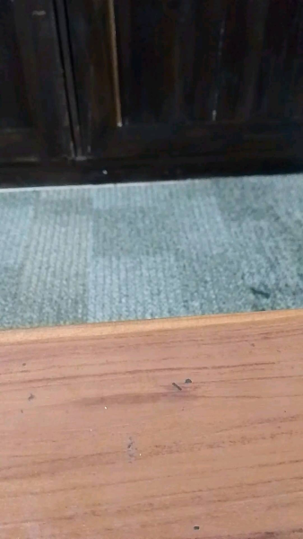 Buyer review video 3