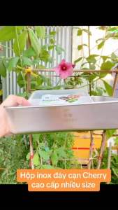 Hộp inox thực phẩm Nhật Bản có nắp nhựa hộp đựng thực phẩm inox dùng trử thức ăn - gia dụng Thiên Vũ