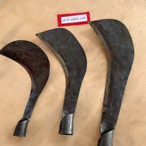 Aritgobedcaluk rumput baja per cap mata harga per 1 pcs