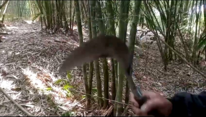 Arit Baja Super Tajam Asli Garut Alat Pangkas & Pengaritan Rumput