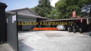 MINYAK URUT DAYAK BORNEO ASLI KALIMANTAN 100%ORIGINAL minyak urut perisai borneo