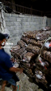 GENDHISWANGI-GULA MERAH TEBU (NIRA TEBU) ASLI/GULA BATOK ASLI KEDIRI 500 GRAM