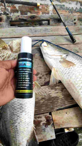 RAJA IKAN adalah essen penambah nafsu makan ikan 10X lebih cepat strike aromanya gurih amis dan tahan lama sehingga cepat ditemukan ikan RAJA IKAN ini racikan dari orang yang sangat berpengalaman dan terbukti publik