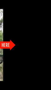 võng mùng rằn rivõng mùng cá nhânvõng mùng thái xịn