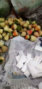 สตรอเบอร์รี่สด🍓🍓พันธุ์80 มีแถมทุกออเดอร์ กล่อง1กิโล /พร้อมส่ง ห่อตาข่ายทุกลูกเสียหายรับเคลม