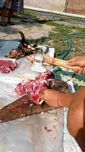 Kapak palu 2 fungsi/Alat Tukang/Kampak cacah tulang daging sapi/Kampak palu serbaguna