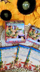 undangan ultah anak custom isi 10-50 pcs + Desain foto Free plastik kartu undangan ulang tahun anak custom/kartu ultah anak/kartu ultah karakter