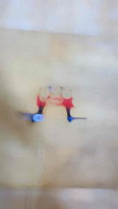 Postep foot step belakang kawasaki ninja rr original