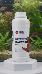 Porpoise Nitrifying Bacteria 500ml - Beneficial Aquarium Bacteria for Fresh & Seawater Eliminates Ammonia & Nitrate Enhances Fish Color