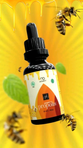 Propolis Moment Green Brazilian Original 100%