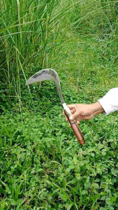 Arit Babad Rumput Alang-Alang Tajam & Alat Berladang