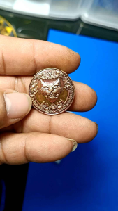 เหรียญแมว9ชีวิต หลวงปู่ศิลาอธิษฐานจิตปลุกเสก