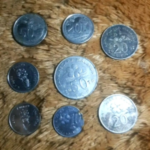 KOIN ASING ASEAN SEMUA NEGARA