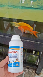 Pronopol 500ml – Sát Trùng Nước Ao Nuôi Thủy Sản | Hỗ Trợ Diệt Vi Khuẩn Nấm Ký Sinh Trùng Trên Cá Tôm Ếch | Làm Sạch Nước Hiệu Quả