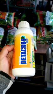 DETACRON 500 EC 500 ml Insektisida Pengendali Hama Pada Tanaman Kubis