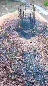 Sekam Bakar Murni 5 Liter