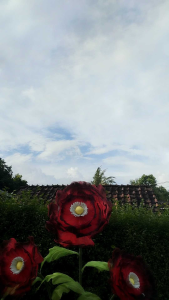 standing bunga giant flower motif bunga Peony dekorasi pelaminan 3 cabang kombinasi 3 ukuran Bunga / giant flower photogrgraphi / bunga hias