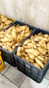 Ubi madu cilembu asli ukuran Sedang 1kg