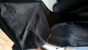 Kain Velvet Bludru Kualitas Premium HARGA SETENGAH METER