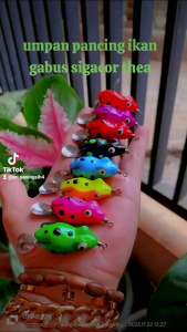 soft frog Lure Sigacor mini ukuran 3cm Berat 5gram