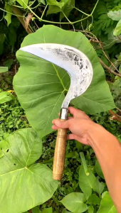 Arit Rumput Dewi Bintang Super Premium: Pemangkas Terbaik