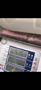 Joran Ryukai Savant Carbon Solid Fuji Spinning Sambung 2 Galatama