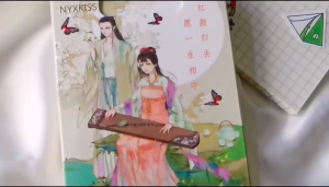 Lipstik isi 6 NYXXKISS tahan lama waterproof lips matte