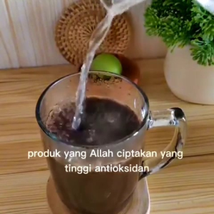 kopi puntang arabika natural