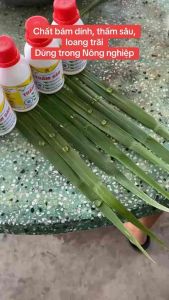 Thấm Sâu 30S (100ml) - Chất bám dính loang trãi thấm sâu lưu dẫn mạnh tăng hiệu quả của Nông Dược