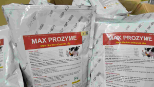 200g Men Tiêu Hoá Sống Cao Cấp: MAX PROZYME. phòng nấm