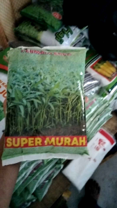 benih kangkung super murah 2kg permata baru berkualitas