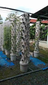 Trụ trồng rau thủy canh khí canh