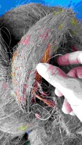 Kupas Sabut Kelapa untuk Media Tanam Anggrek Plus