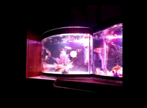 3 Color Mode Waterproof Aquarium LED Light Fish Tank Submersible Down Light - Aquarium Light