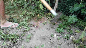 Cangkul Pembersih Pemotong Gulma Rumput Liar Kebun Sawit Jeruk Baja Asli