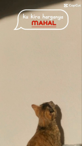 Tas Ransel SD Karakter Cewe Minimos Fashions