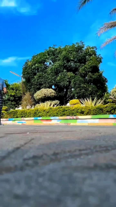 Sarung dewasa dengan karet pinggang bahan halus