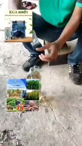 KGA ผงดำ(ฮอร์โมนสำหรับพืชทุกชนิด)❗ส่งไว❗