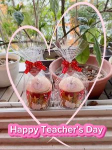 Teacher’s Day Gift - Microfiber Thermal Print Bear Towel/ Cute Bear Towel (SG Stocks)