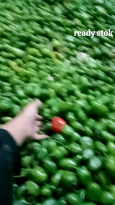 CABE GENDOT 250gram