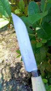 Pisau Buah Madura Baja Plat – Handmade Tajam Tradisional