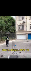 tennis网球训练器网球拍初学者自练器通用成人单人打回弹带线绳自打套装