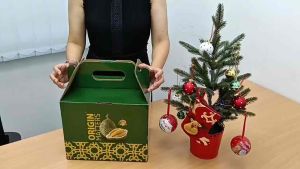 D.Masking Christmas Gift Box Set Exclusive Gift Box Premium Xmas Present (10 products with gift box) 榴莲大哥圣诞节礼盒