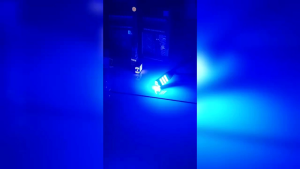 TERLARIS LUMINOS LAMPU SEN LAMPU MOBIL MOTOR T15 45 LED LAMPU SEIN LUMINOS