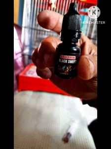 Gurah Burung BLACK SWEET Serak Macet Berlendir Nafas