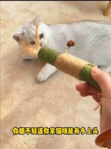 RR Catnip Stick 31cm Cat Toys Used For Cat Tooth Cleaning Calming Anxiety And Stress 猫薄荷
