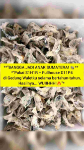 Parfum Pemikat Walet Fullhouse D11P4 Terbukti Wuah