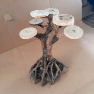 Bonsai Kayu Rasamala Ukuran S dan Hiyasan Aquascape Alami