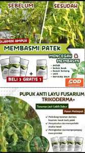 Tricoderma BELI 3 GRATIS 1 250ml Fungisida Pembasmi Jamur Pencegah Layu tanaman Patek Cabai & Busuk